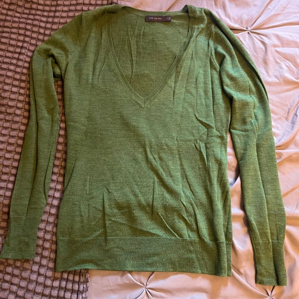 The Limited Size Small Green Long Sleeve V-Neck Sweater